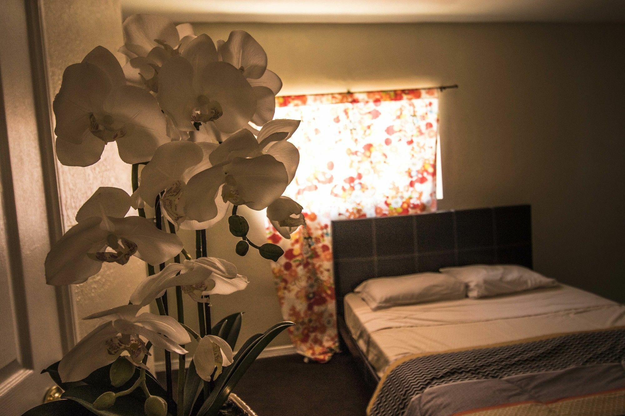 Hostel The Anderson Estates Los Angeles Zewnętrze zdjęcie